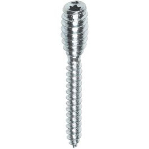 Woodies Ultimate afstandschroef Ø6,0 mm Torx TX25 verzinkt
