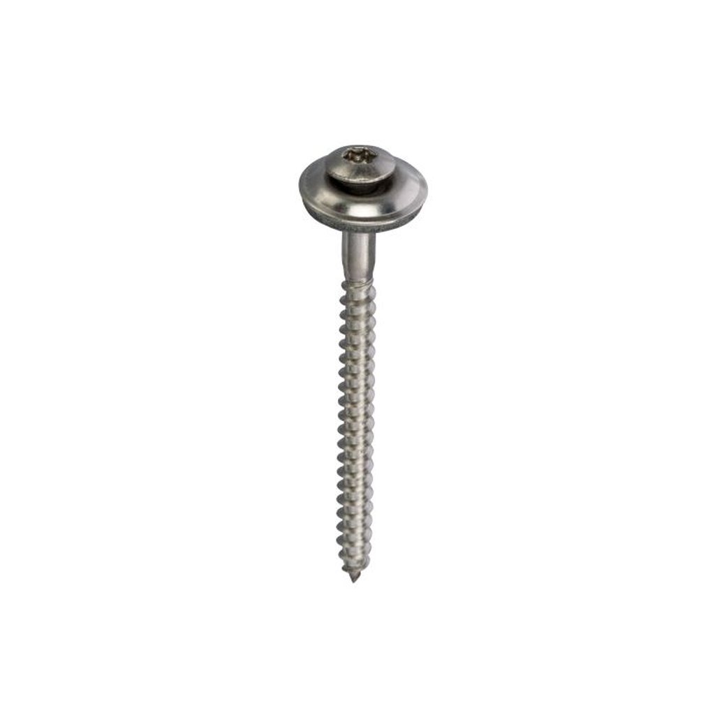 Steelies ring Ø5,0 mm Torx RVS A2