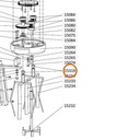 Collomix zeskantmoer laag M18 (DIN 936) voor XM 2-650 en XM 3-900